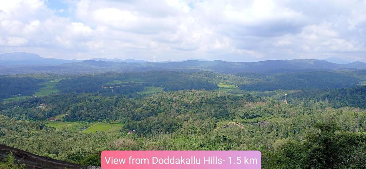 Doddakallu Betta Homestay Coorg Somvārpet Eksteriør billede