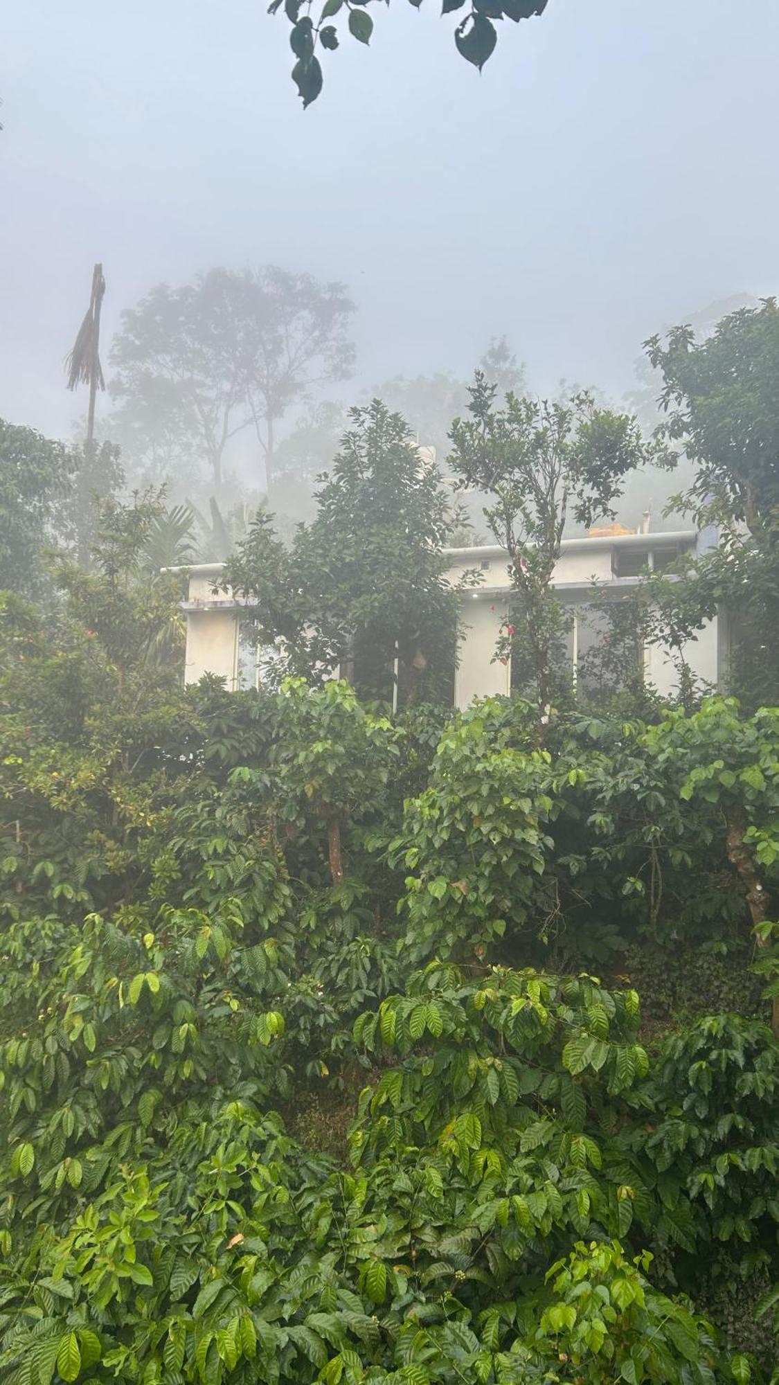 Doddakallu Betta Homestay Coorg Somvārpet Eksteriør billede